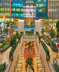 Aerocity escort service