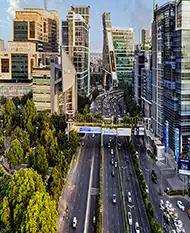 DLF City escort service