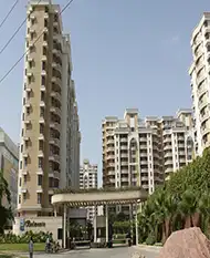 South City escort service